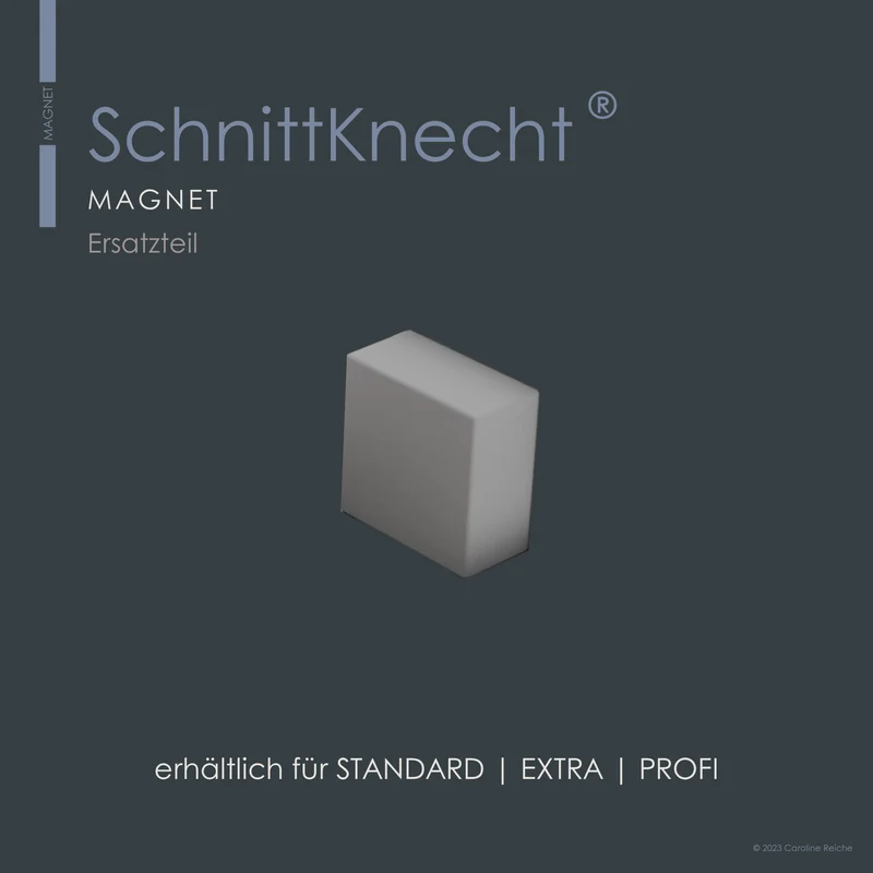 Magnet